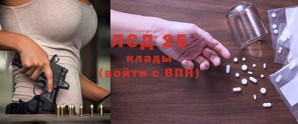 PSILOCYBIN Бородино