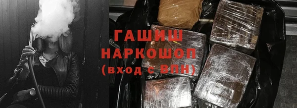 PSILOCYBIN Бородино