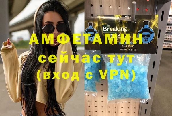 PSILOCYBIN Бородино