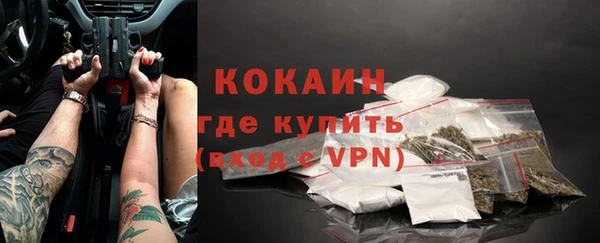 PSILOCYBIN Бородино