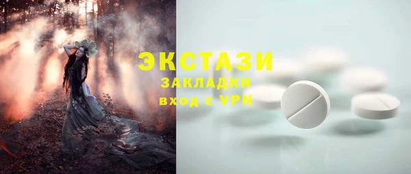 PSILOCYBIN Бородино