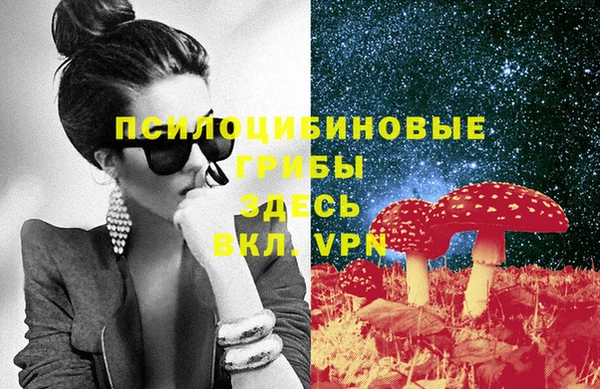 PSILOCYBIN Бородино