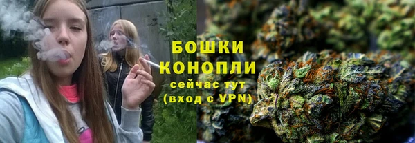 PSILOCYBIN Бородино