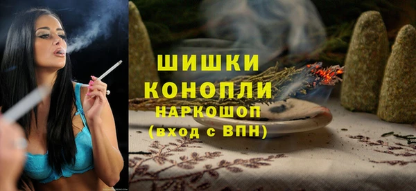 PSILOCYBIN Бородино