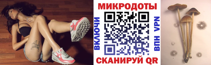Галлюциногенные грибы Psilocybe Купить Соль-Илецк